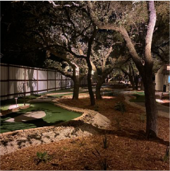 Illuminated garden pathway at night