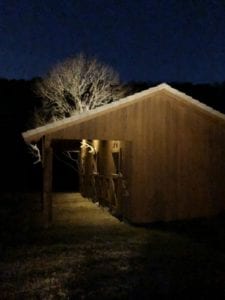 exterior lighting outside of horse stalls