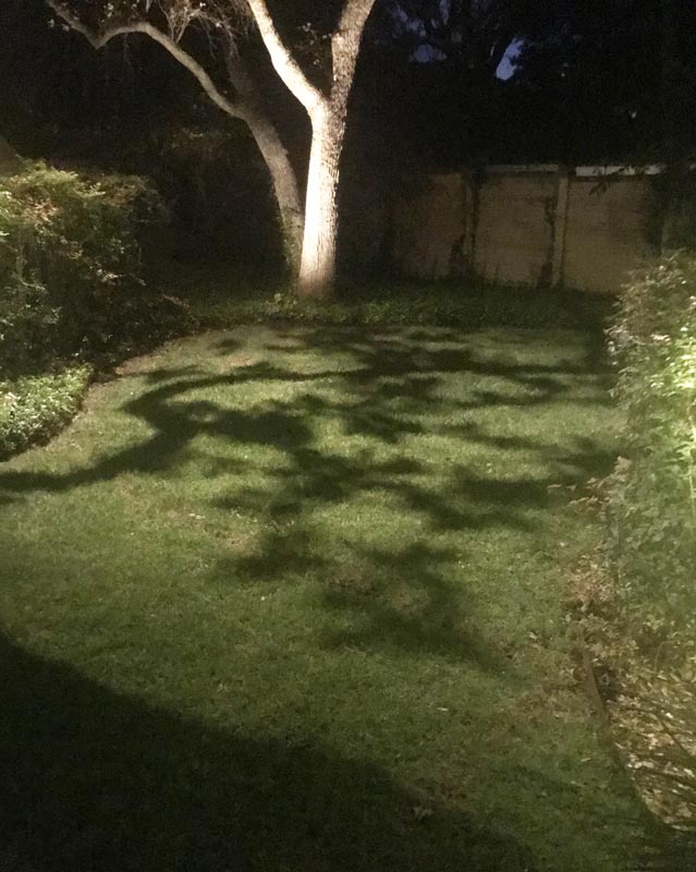 outdoor lighting creating shadows from a tree