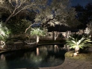 poolside lighting and landscape lighting up little palm trees