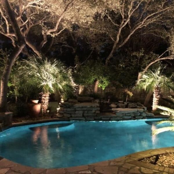 Outdoor pool surrounded by tropical plants and landscape lighting